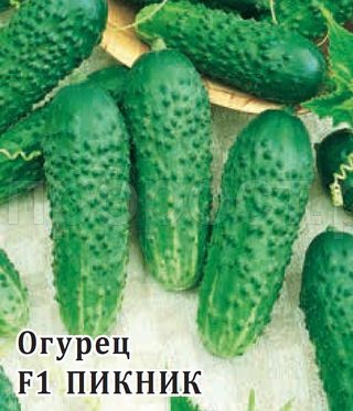 Огурец Пикник F1 100 шт