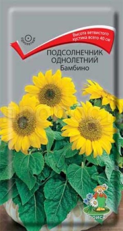 Подсолнечник Бамбино 0,5г