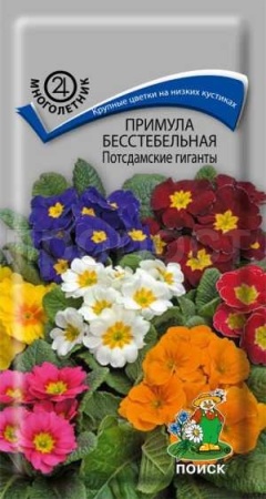 Примула Потсдамские гиганты бесстебельная 0,05г