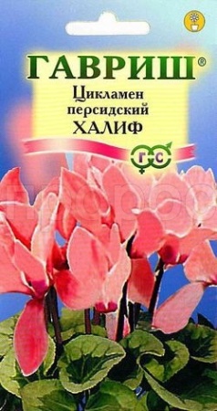 Цикламен персидский Халиф 3шт