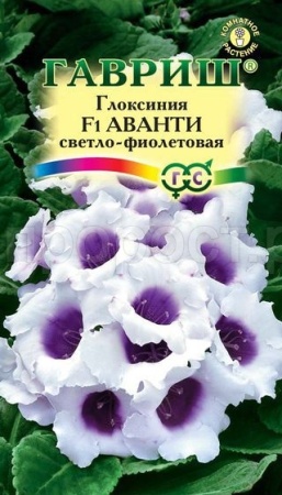 Глоксиния Аванти светло-фиолетовая 4шт 