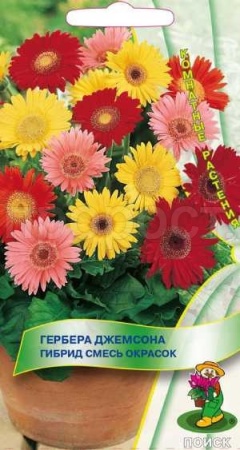 Гербера Джемсона Гибрид смесь 10шт