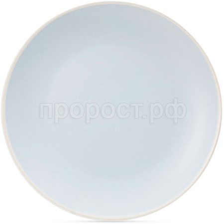 Тарелка обеденная SCANDY BLUE 24см TDP544 /6шт/FIORETTA