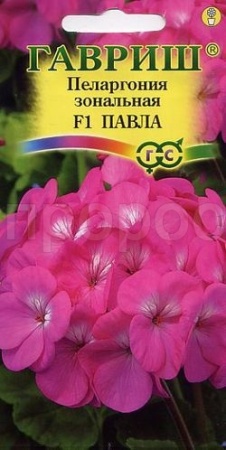 Пеларгония Павла F1 зональная 4 шт 