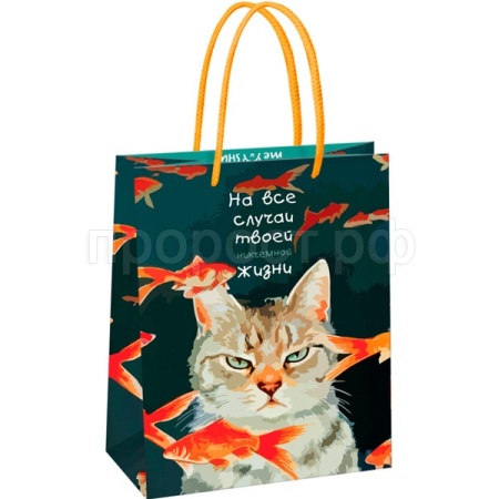 Пакет подарочный 18*23*10см "Moody cat" глянц. ламинация MESHU/Рельеф