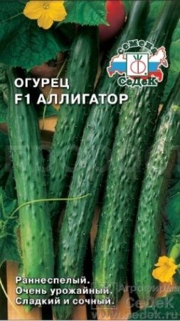 Огурец Аллигатор 2 F1 (Китайский болезнеустойчивый) 0,2г