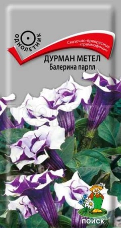 Дурман метел Балерина парпл 3шт 