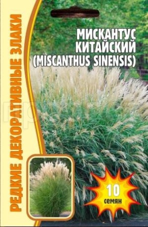 Мискантус китайский 10 шт