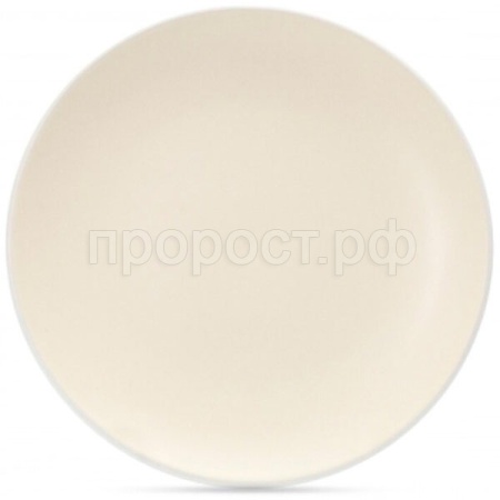 Тарелка обеденная SCANDY MILK 24см TDP535 /6шт/FIORETTA