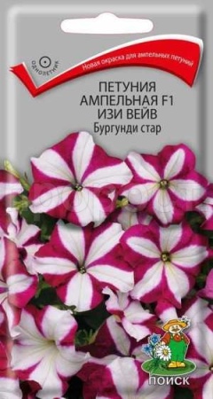 Петуния ампельная F1 Изи Вейв Бургунди стар 5шт
