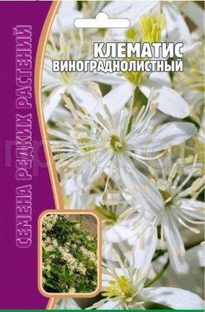 Клематис Винограднолистный 7 шт