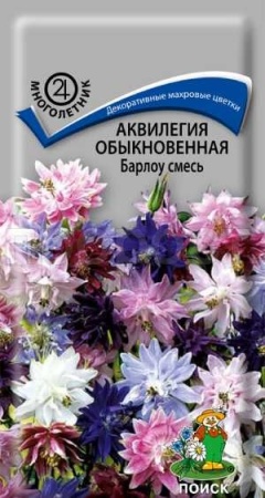 Аквилегия обыкновенная Барлоу смесь 20шт