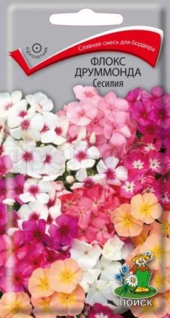 Флокс друммонда Сесилия 0,3г