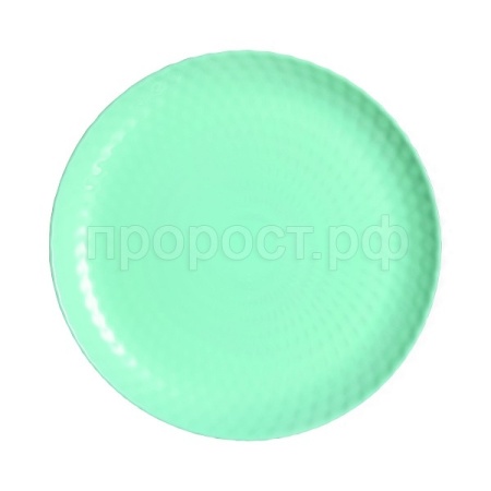 Тарелка обеденная "PAMPILLE TURQUOISE" 25см