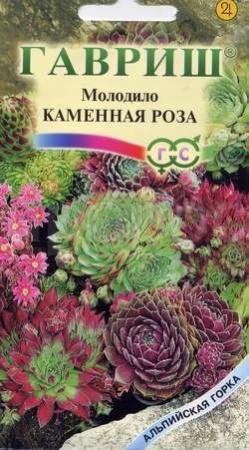Молодило Каменная роза 0,01г 
