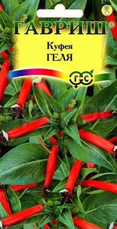 Куфея огненно-красная Геля 0,02г 