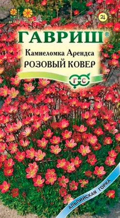 Камнеломка Арендса Розовый ковер 0,01г