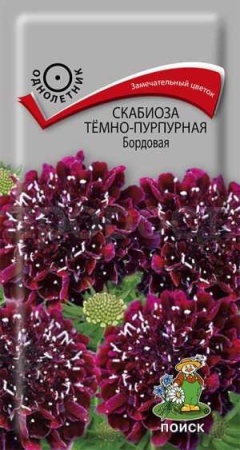 Скабиоза тёмно-пурпурная Бордовая 0,2г
