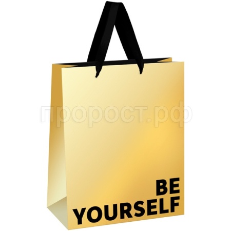 Пакет подарочный 26*32*12см "Be yourself"  металл. картон MESHU/371155/Рельеф