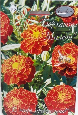 Бархатцы Миледи (Красная вишня) 20*0,3