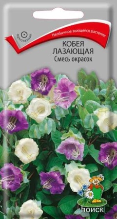 Кобея лазающая Смесь окрасок 5шт