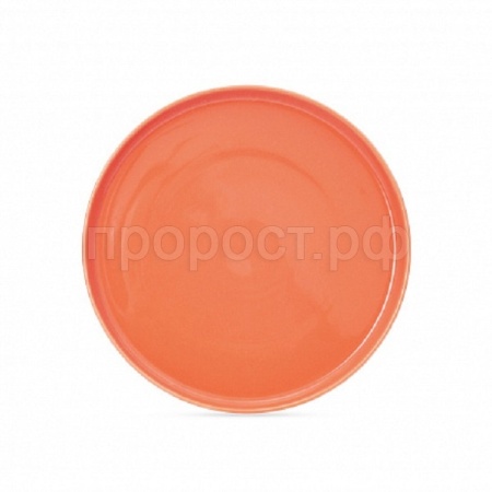 Тарелка обеденная CORAL GOLD 27см DM3000-1 /6шт/DOMENIK