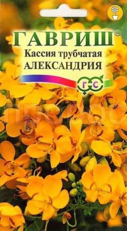 Кассия трубчатая Александрия 3шт