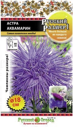 Астра Русский размер I Аквамарин 0,3г