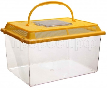 Черепашник с пластиковой крышкой BOX 001 13*9,5*9,5 см