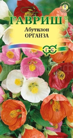 Абутилон Органза смесь 7шт