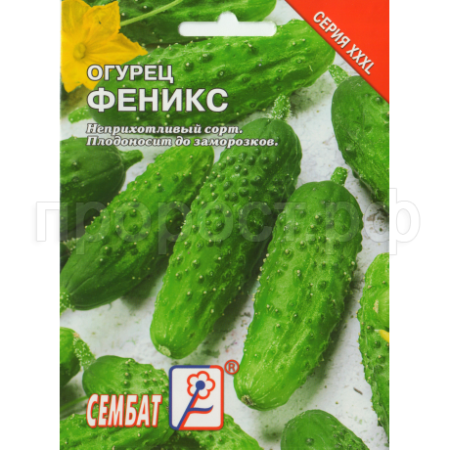 Огурец Феникс 5г 