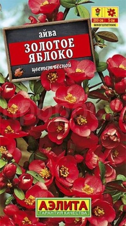 Айва японская Золотое яблоко 10шт