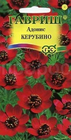 Адонис летний Керубино 0,1г