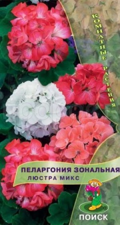 Пеларгония Люстра микс 5шт
