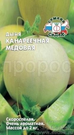 Дыня Канареечная Медовая 