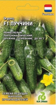 Огурец Пуччини F1 5шт