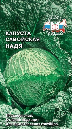 Капуста савойская Надя 1г
