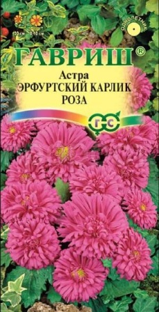 Астра Эрфуртский карлик Роза 0,3г