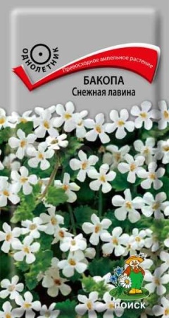 Бакопа Снежная лавина 5шт