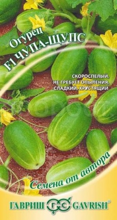 Огурец Чупа-Щупс F1 5шт